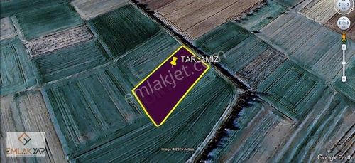 Arsa-Tarla