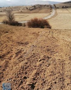Arsa-Tarla