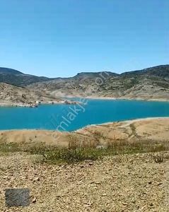 Arsa-Bağ & Bahçe
