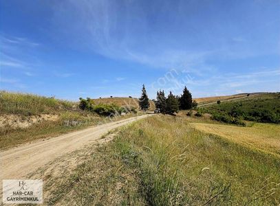 Arsa-Tarla