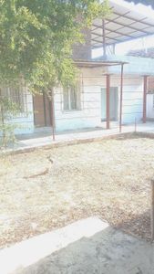 Sahibinden Komple Tadilat Yapıldı, Müstakil ,teraslı, Dubleks, Bahçeli Villa.