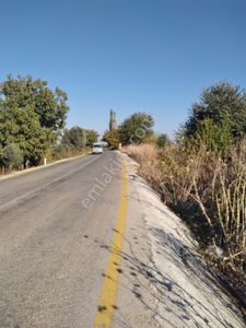 Arsa-Bağ & Bahçe