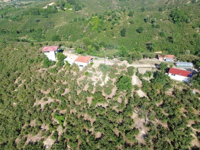 Arsa-Tarla
