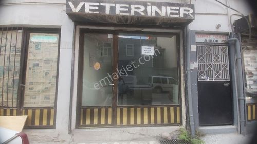 İşyeri-Dükkan & Mağaza