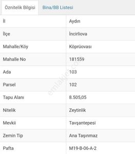 Arsa-Zeytinlik