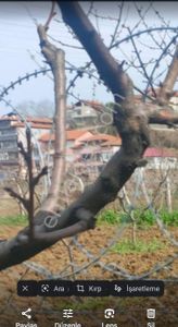 Arsa-Villa İmarlı