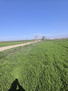 Arsa-Tarla