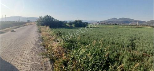 Arsa-Tarla