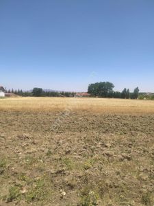 Arsa-Tarla
