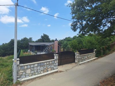 Arsa-Bağ & Bahçe