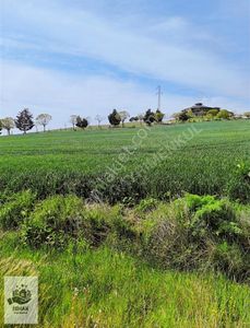 Arsa-Tarla