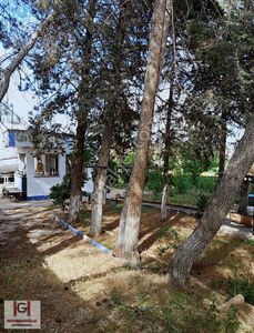 Arsa-Ticari İmarlı