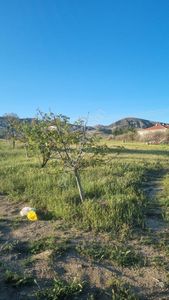Arsa-Tarla