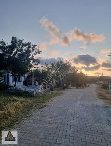 Arsa-Tarla