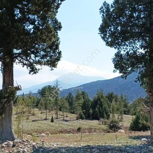 Arsa-Konut İmarlı