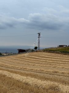 Arsa-Tarla