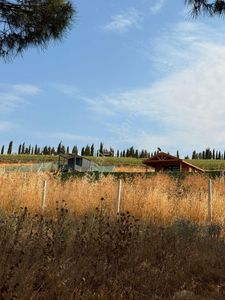 Arsa-Tarla