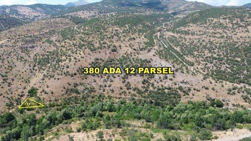Arsa-Tarla