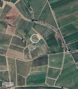 Arsa-Tarla