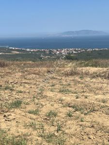 Arsa-Konut İmarlı