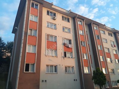 Konut-Daire
