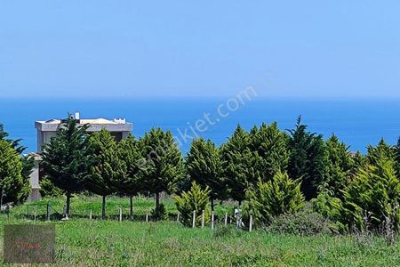 Arsa-Villa İmarlı