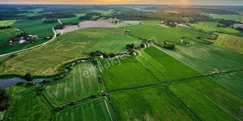 Arsa-Tarla