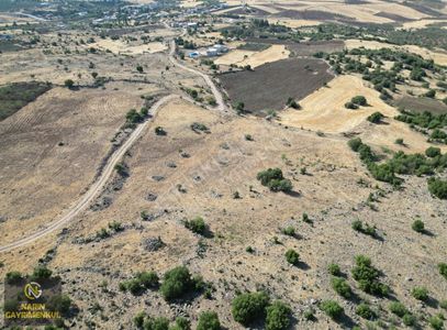 Arsa-Tarla