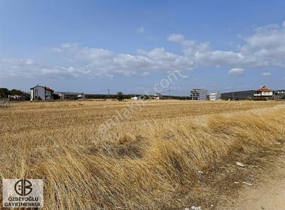 Arsa-Villa İmarlı