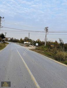 Arsa-Konut İmarlı