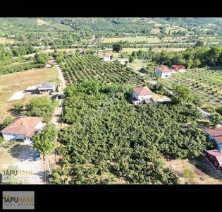 Arsa-Konut İmarlı