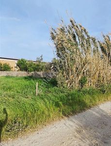 Arsa-Tarla