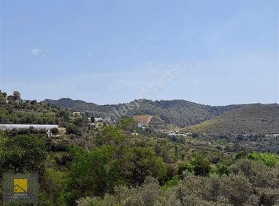 Arsa-Tarla