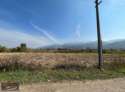 Arsa-Konut İmarlı