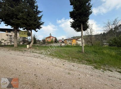 Arsa-Bağ & Bahçe