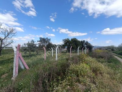 Arsa-Tarla