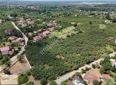 Arsa-Konut İmarlı