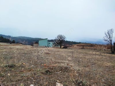 Arsa-Konut İmarlı