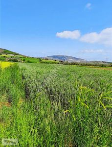 Arsa-Tarla