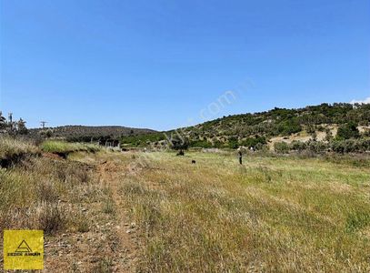 Arsa-Tarla