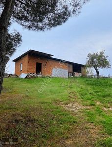Arsa-Zeytinlik