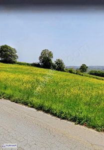 Arsa-Tarla