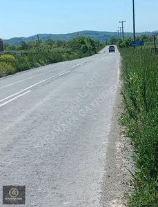 Arsa-Tarla