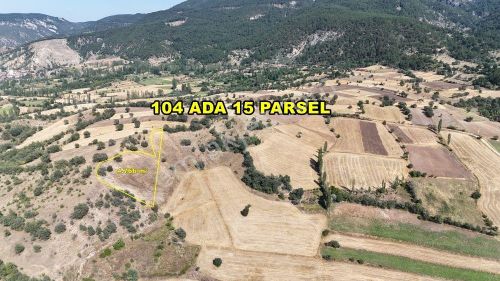 Arsa-Tarla