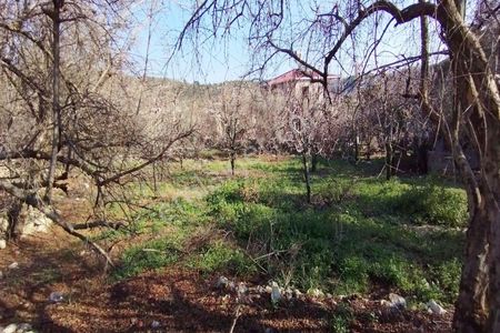 Arsa-Villa İmarlı
