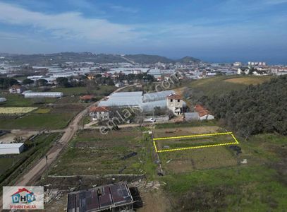 Arsa-Tarla