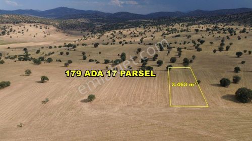 Arsa-Tarla
