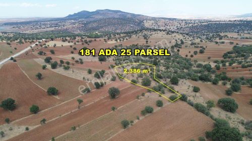 Arsa-Tarla