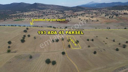 Arsa-Tarla