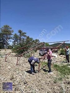 Arsa-Bağ & Bahçe